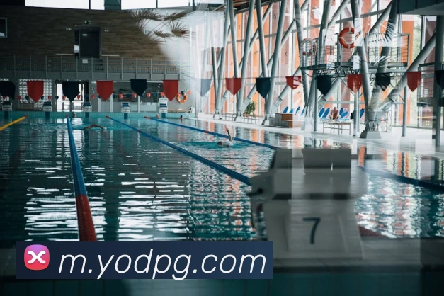 多媒体互动体验